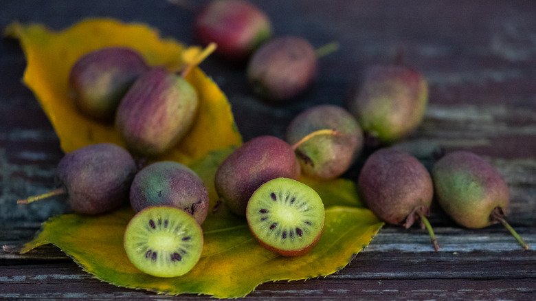 kiwi berries