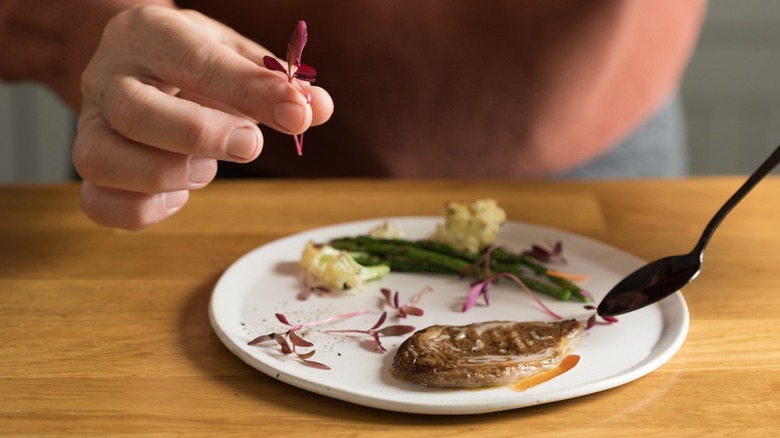 Aleph Farms steak