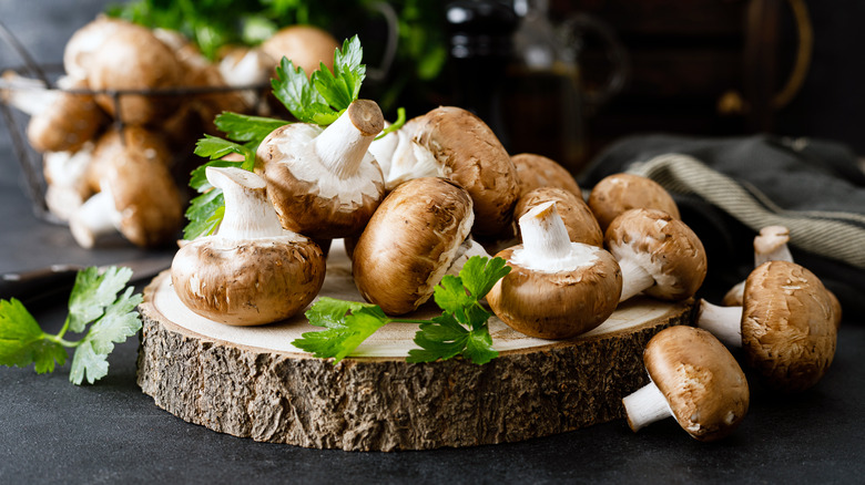 Raw mushrooms on stump