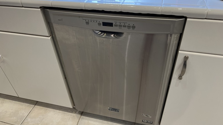 Stainless steel dishwasher in kitchen