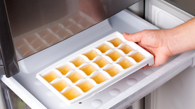 tray of lemon juice ice