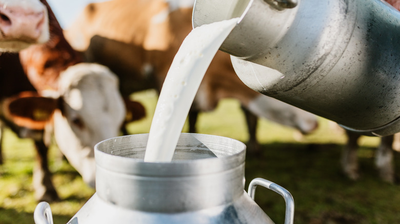 Milk poured into a container