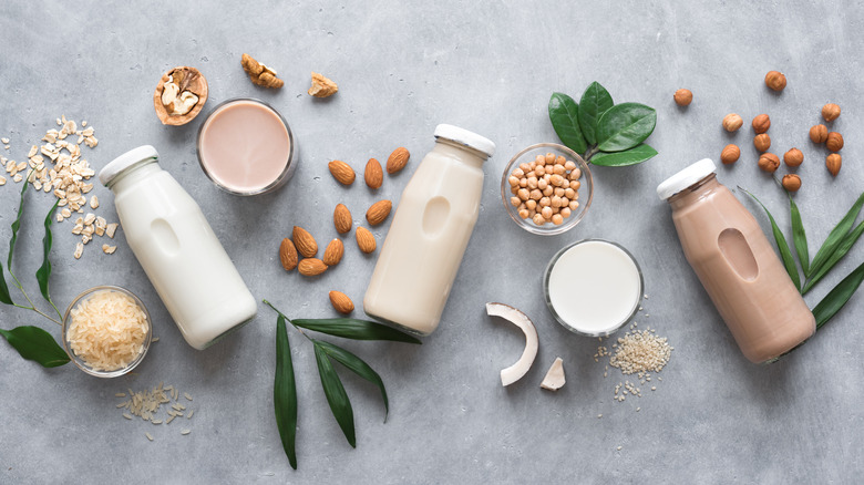 An assortment of plant-based milk substitutions Chopped chefs could use