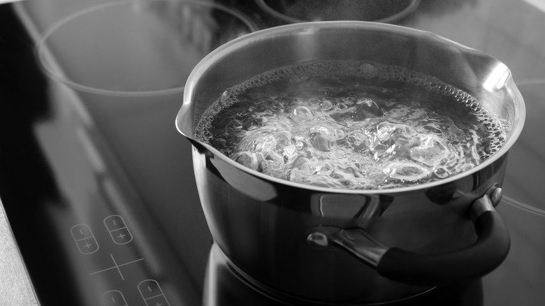 A pot of water boiling, like on Chopped