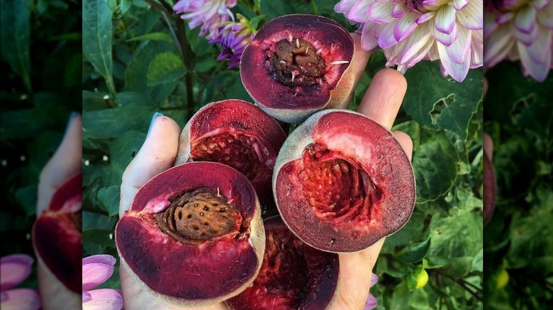 handful of peaches