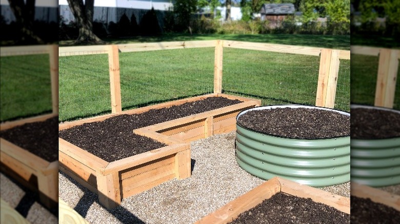 school vegetable garden