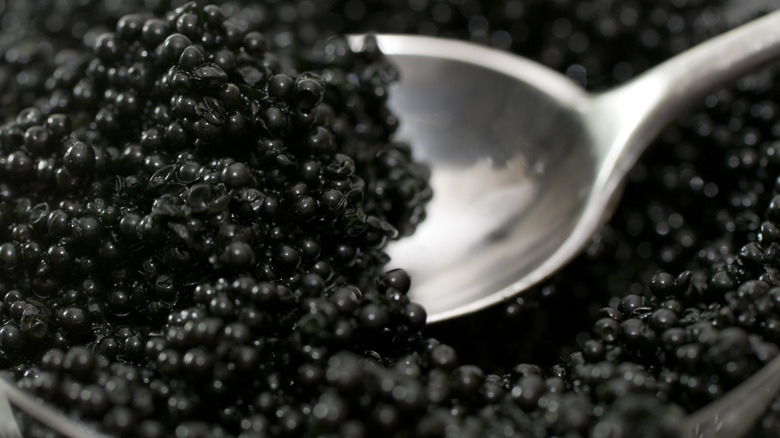 spoon scooping black caviar