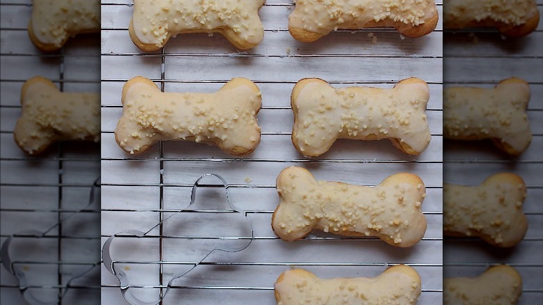 Maltese dead men's bones cookies