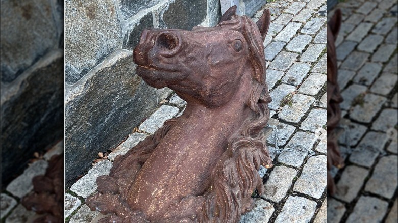 Horse head gift given to Martha Stewart