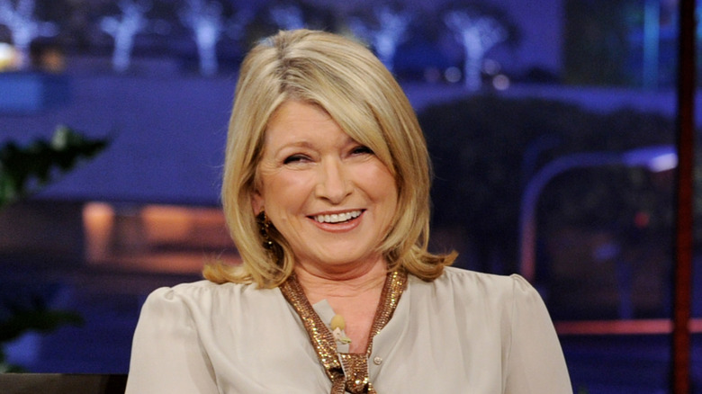 martha stewart on talk show