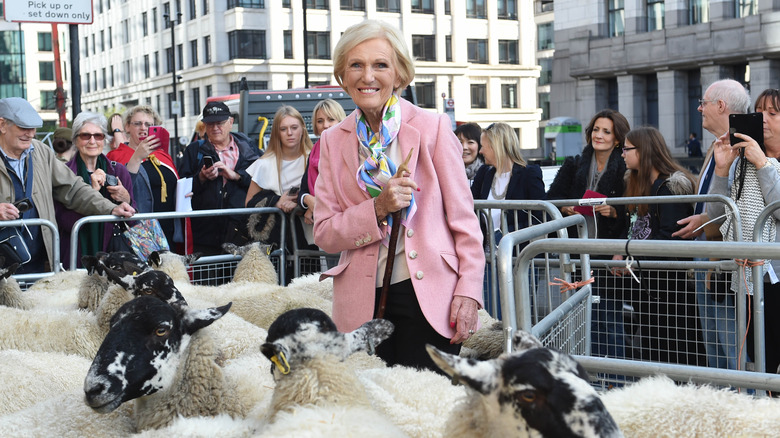 Mary Berry stands among sheep