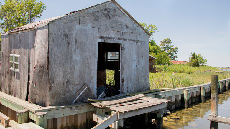 Smith Island shack on water