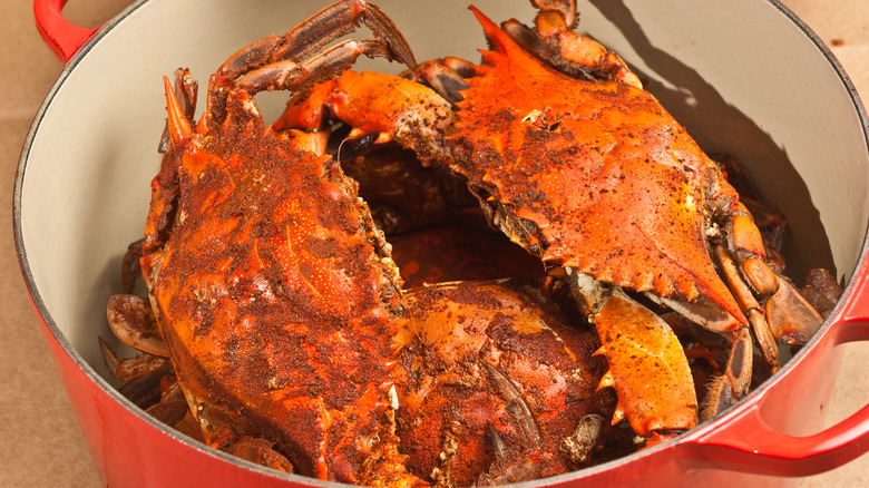 Steamed blue crabs in red pot