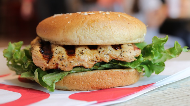 Grilled chicken sandwich