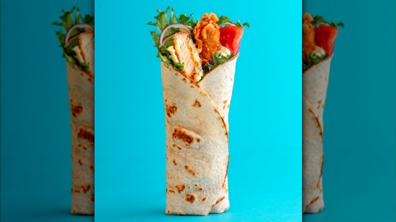 closeup of a chicken snack wrap