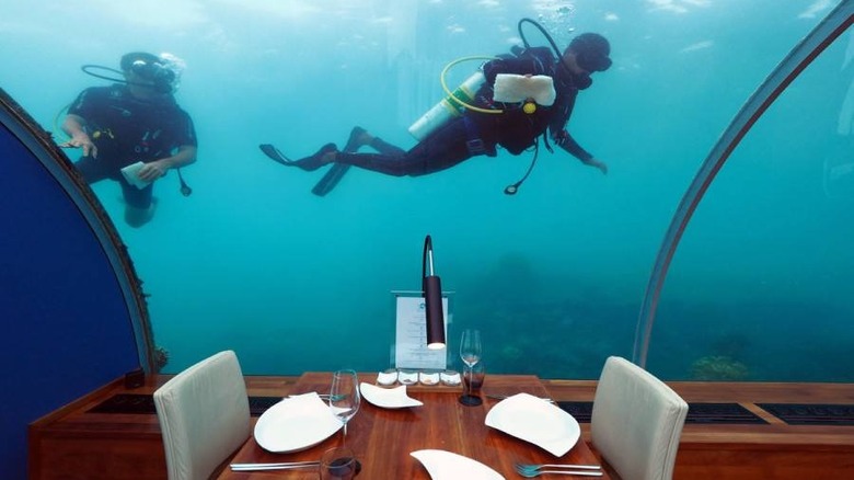 Restaurant table with aquarium walls, and diver swimming nearby