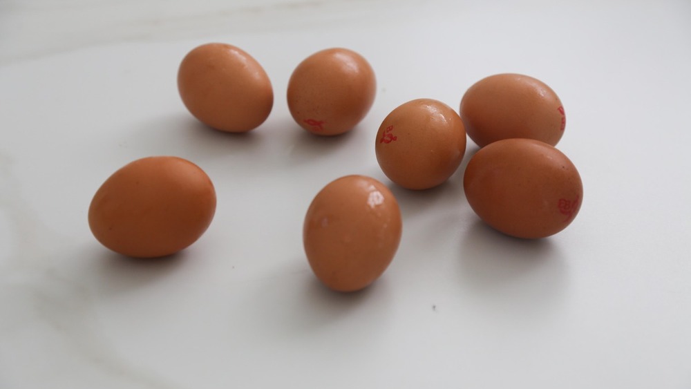 eggs for mini frittatas