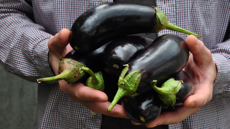 man holding a pile of eggplants