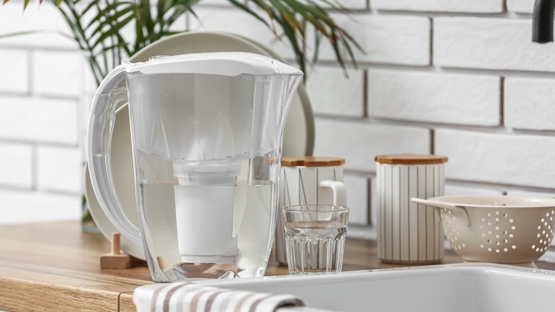 Water filter pitcher on counter