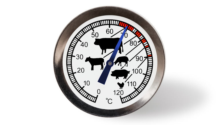 Meat thermometer