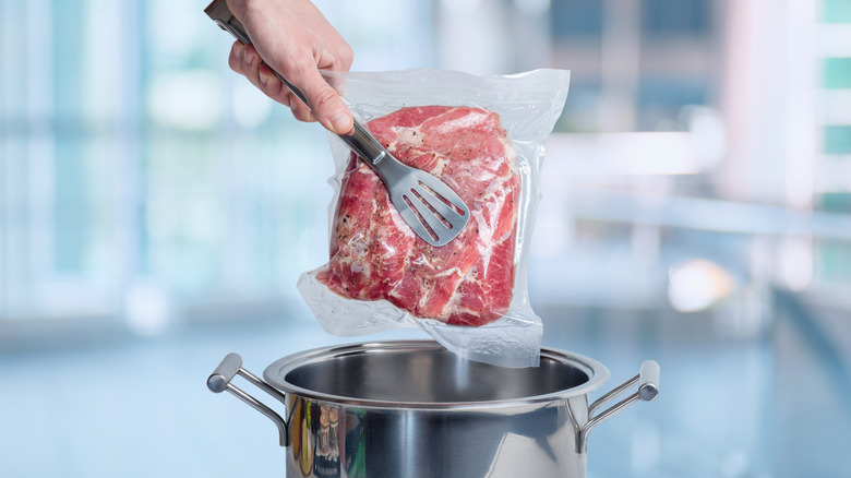 Person holding sous-vide meat