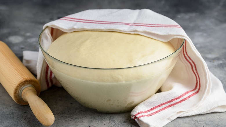 dough proofing in bowl