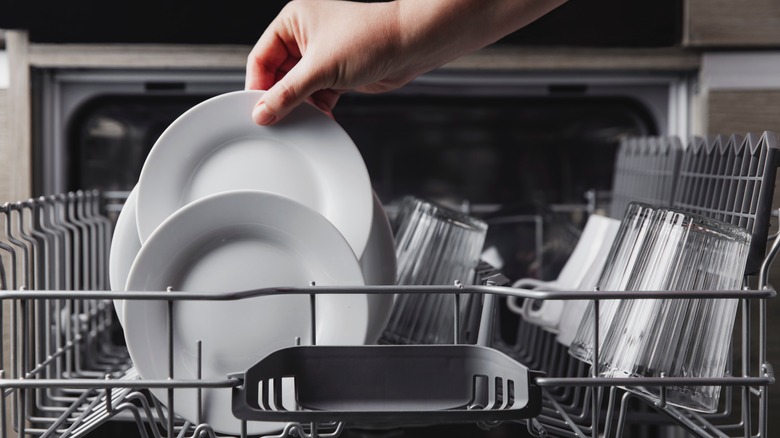 Hand placing dish in dishwasher