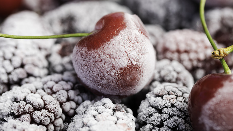 fruit covered in ice crystals