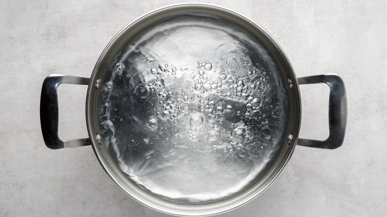 Stainless steel pot boiling water