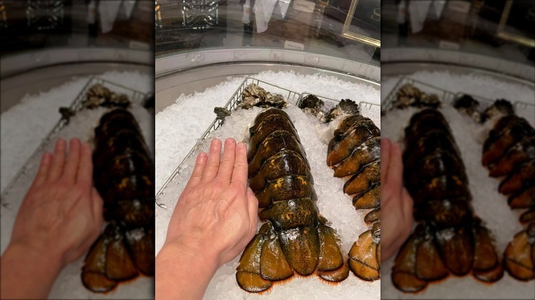 large lobster tail