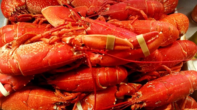 crowded lobsters