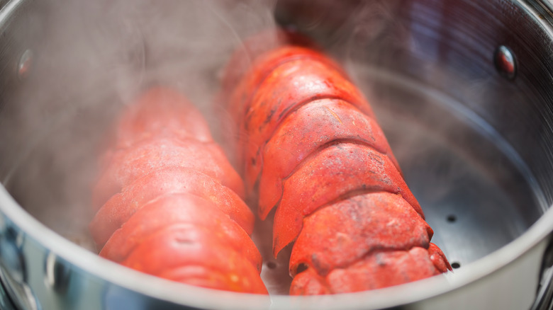 boiling lobster