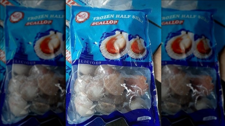 frozen scallops