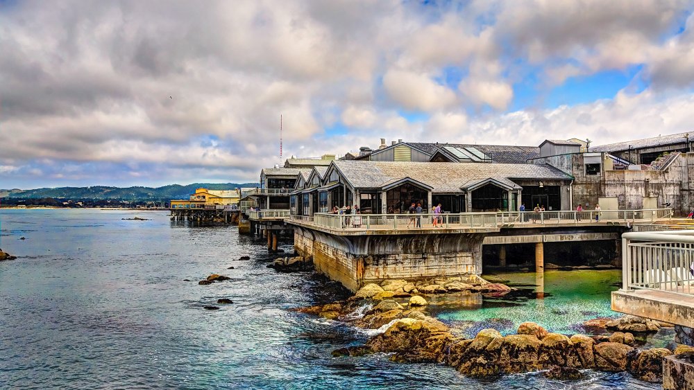 Monterey Bay Aquarium talks about environmentally-friendly tilapia