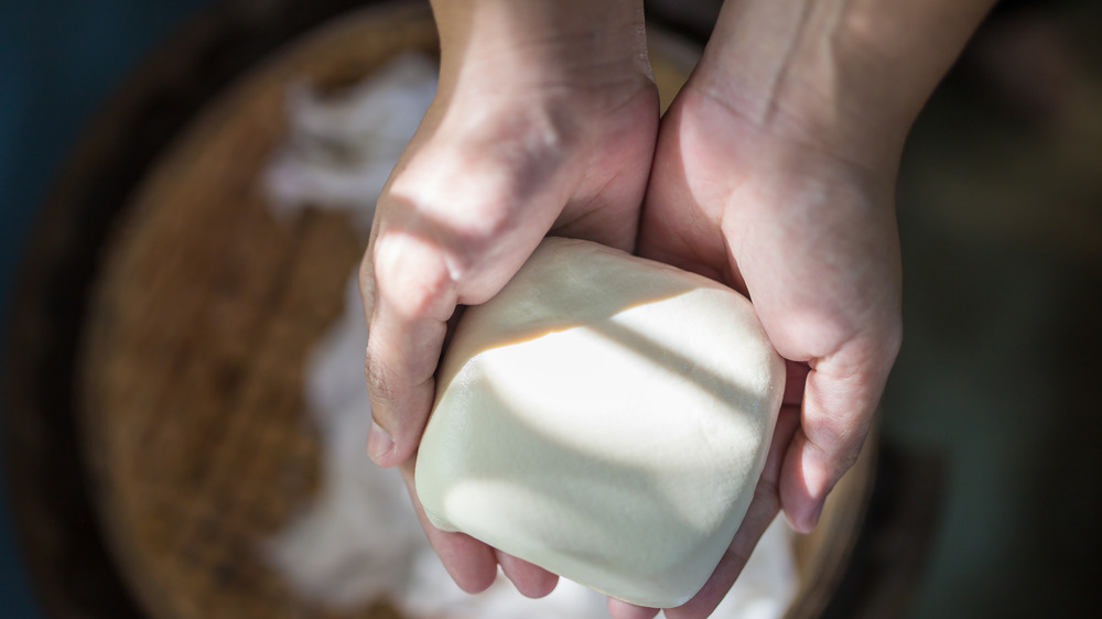 holding block of tofu 