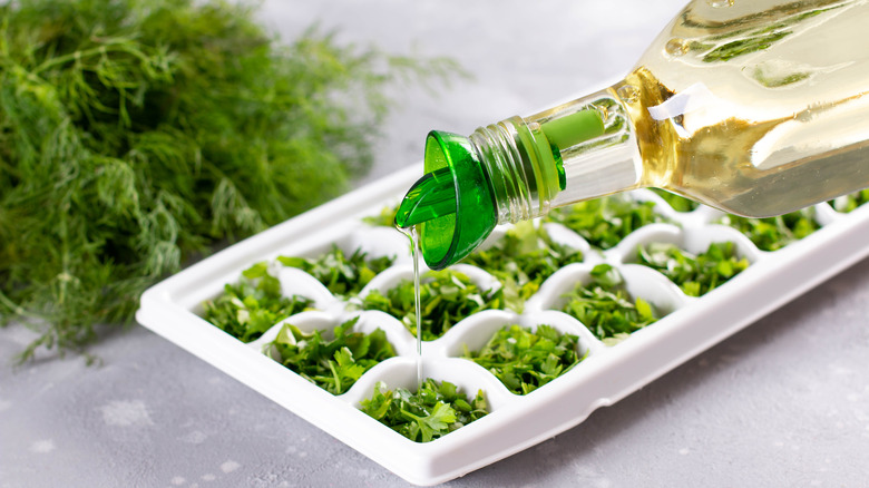 Herbs in ice cube tray