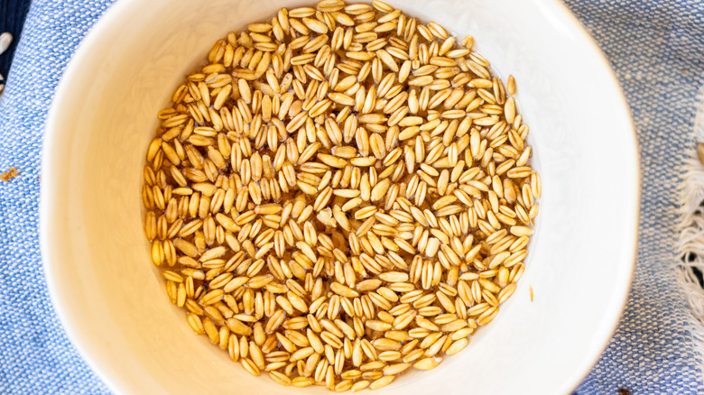 grains soaking in water