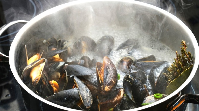 steaming mussel pot