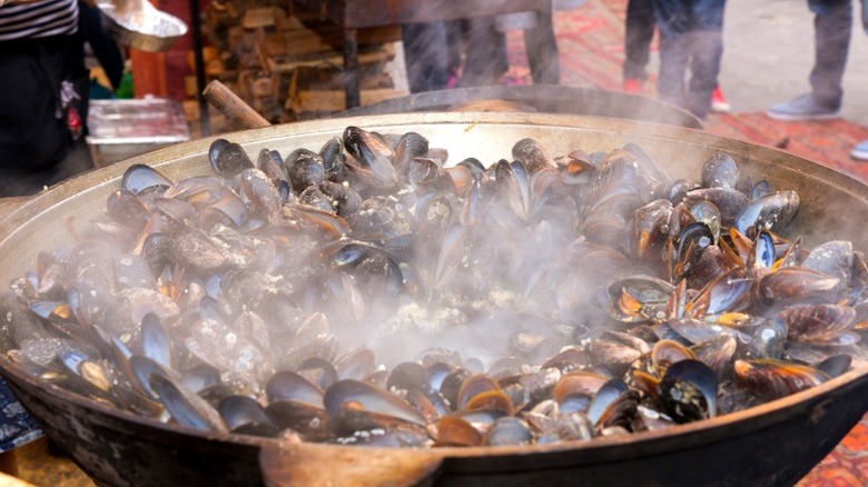 crowded mussel pot