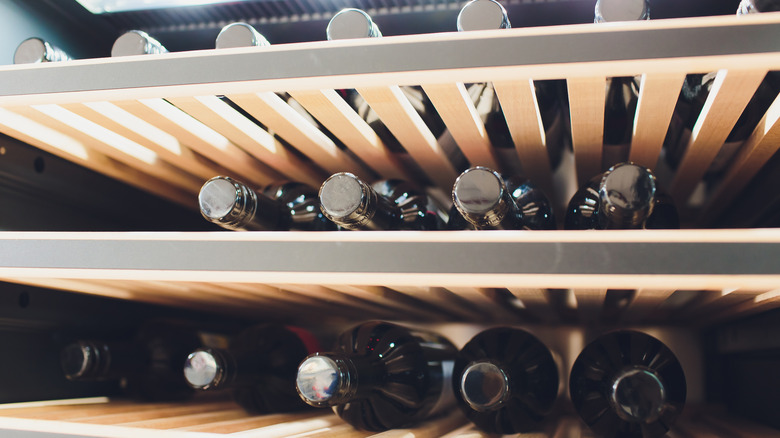 wine bottles in wine fridge