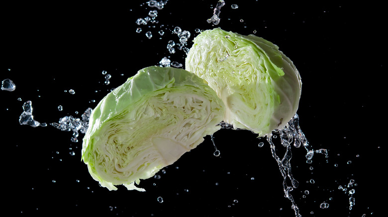 Freshy cabbage with water splash