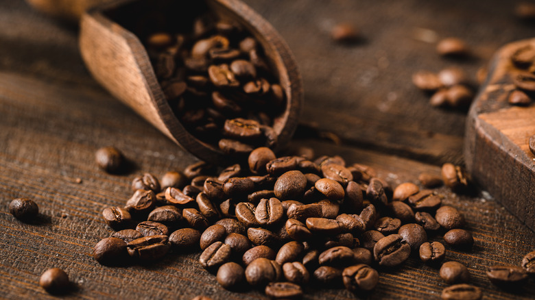 Coffee beans in a scoop 