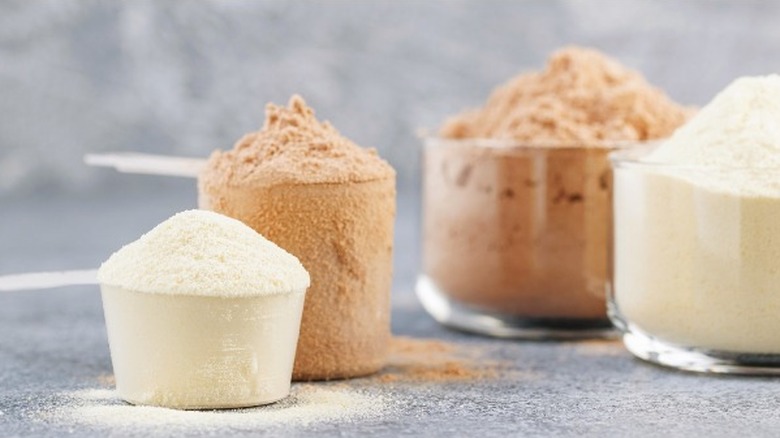 scoops of different protein powders