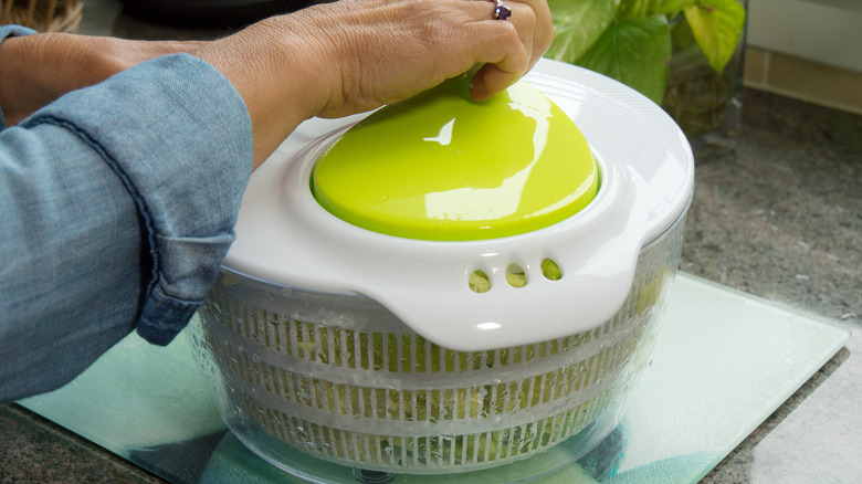 Salad spinner