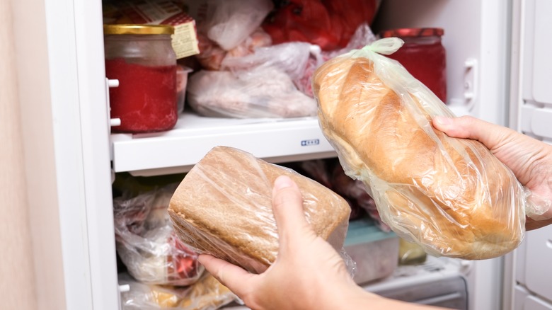 person putting sandwiches in freezer