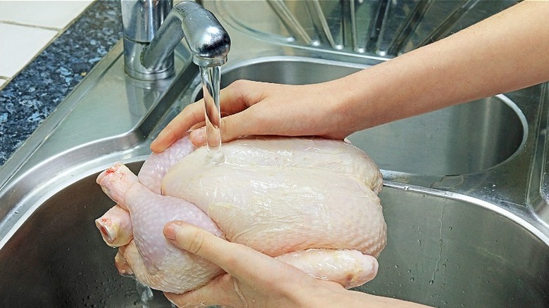 Washing chicken in sink