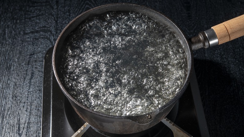 pot of water boiling on stove