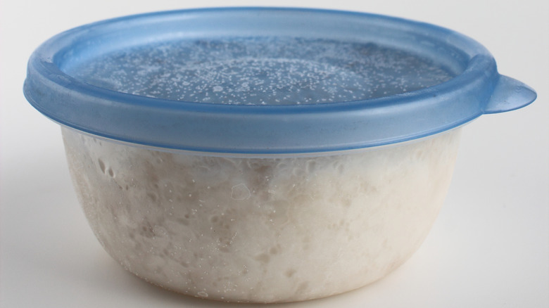 Tupperware of rice