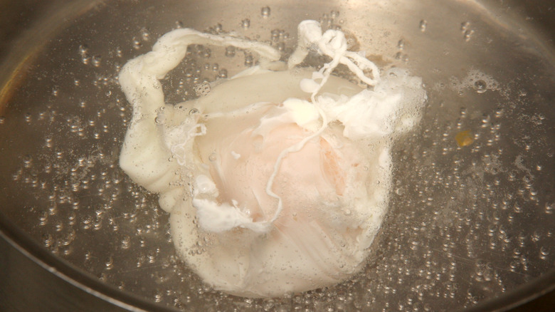 An egg poaching in boiling water