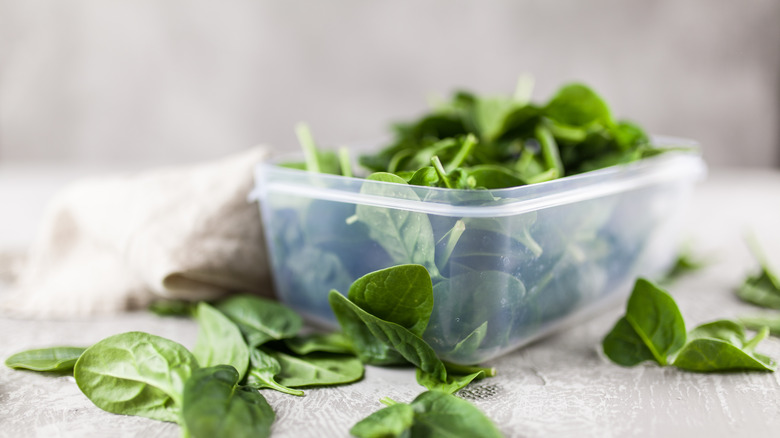 fresh spinach in clear plastic container